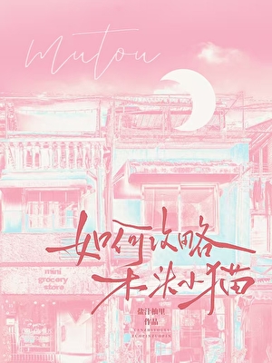 如何攻略木头小猫